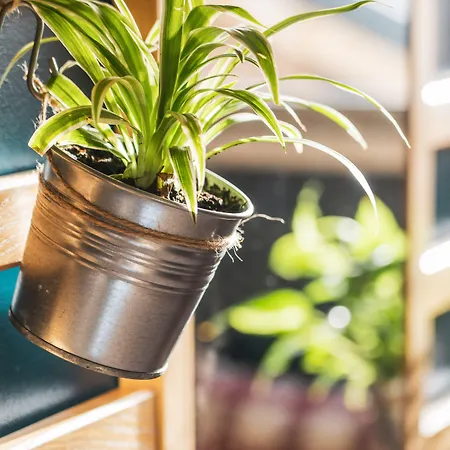 Hotell Les Lutins 2*